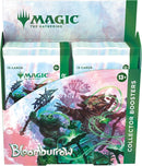 Bloomburrow - Collector Booster Display