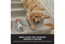 Shark CarpetXpert 2-in-1 Deep Vacuum Cleaner | EX200UK