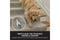Shark CarpetXpert 2-in-1 Deep Vacuum Cleaner | EX200UK