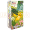151 Simplified Chinese Booster Box (Jumbo)
