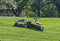 Yarbo Snow Blower + Yarbo Lawn Mower