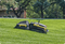 Yarbo Lawn Mower + Yarbo Leaf Blower